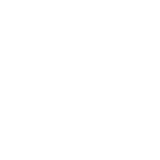 Jaguar occasion