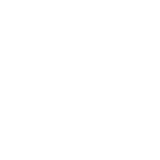 Volkswagen occasion